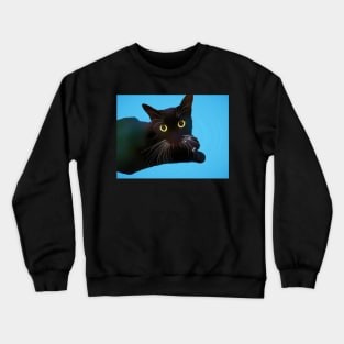 Beautiful Black Cat Crewneck Sweatshirt